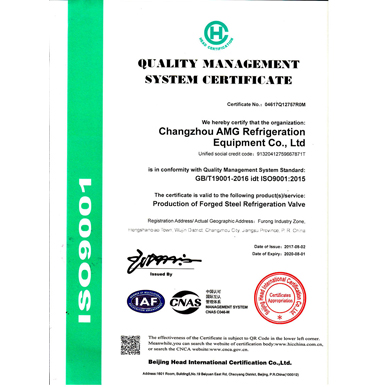 ISO9001英文版